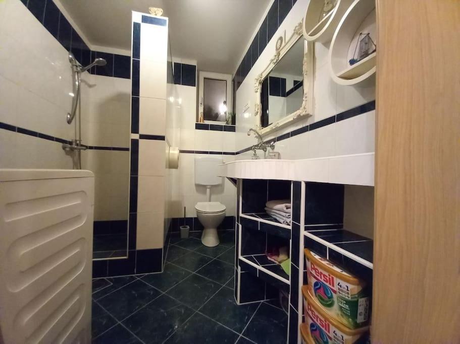 Nice Apartment Near By Capital Of Slovenia Ljubljana Extérieur photo