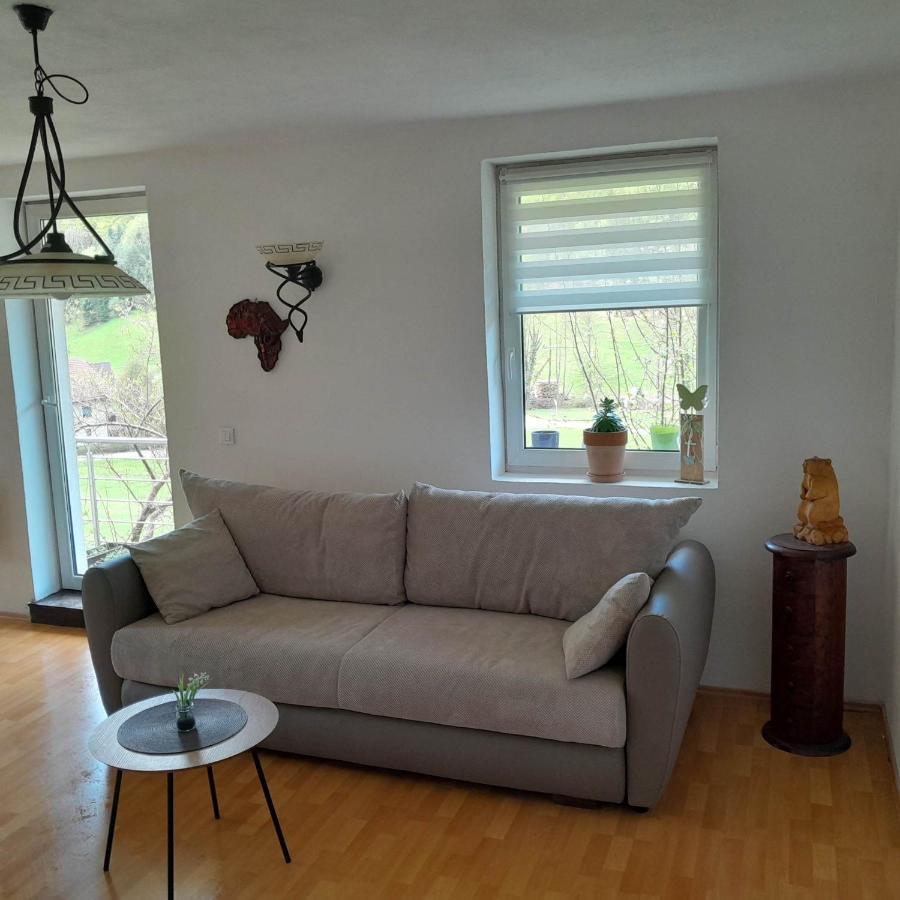 Nice Apartment Near By Capital Of Slovenia Ljubljana Extérieur photo